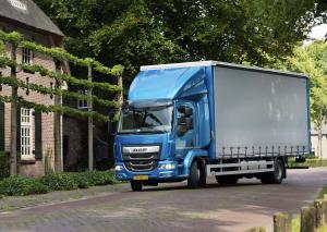 2017 DAF LF 290 FA 4x2 Sleeper Cab